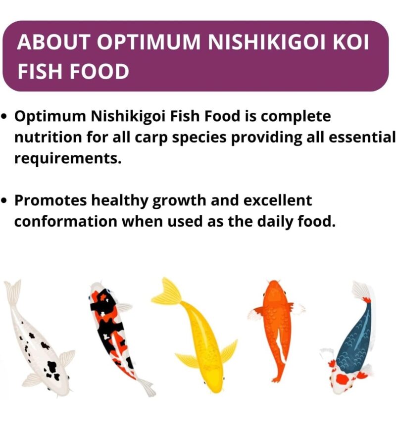 Optimum PCG Nishikigoi Floating (Large Pellet 3 Kg) - Image 3