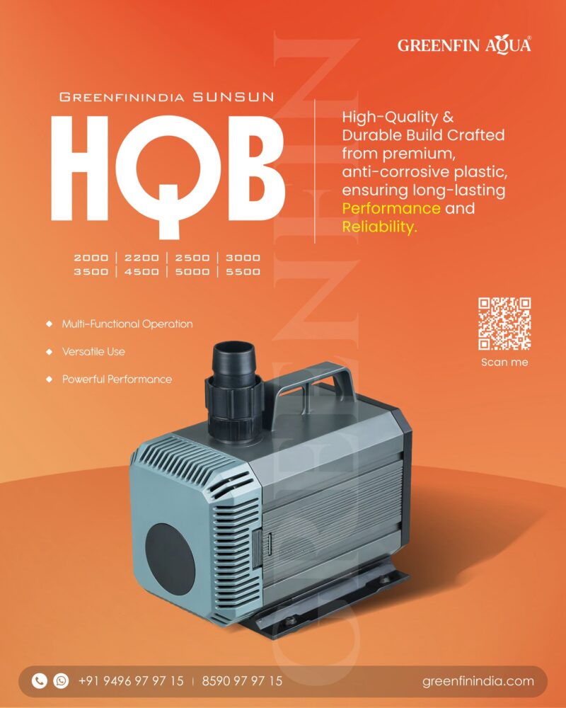 Hqb