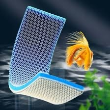 8D Aquarium Filter Sponge

Size 40X30 cm