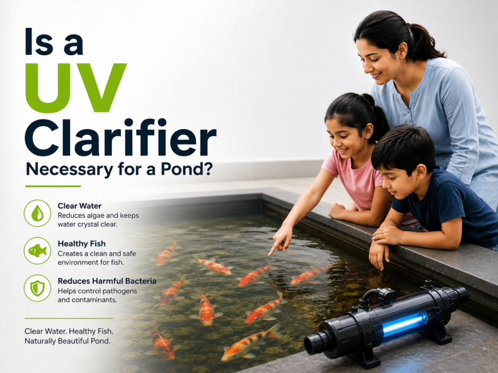 A mother and children watching the koi fish pond .showcasing the heading   Is a UV clarifier necessary for a pond?