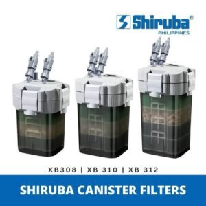 Shiruba